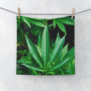 Green Cannabis Leaf Face Towel 4