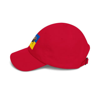 Grill Skewers on Blue Yellow Flag Dad Cap | BBQ Ukraine Baseball Hat 33