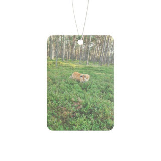 Dog in Forest Car Air Freshener | Woodland Scenery, Nature Scent 3