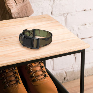 Pet Collar 8