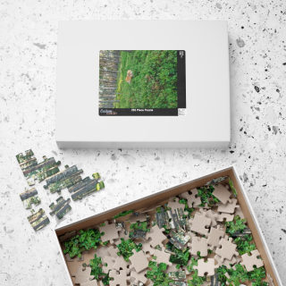 Fox in Mossy Forest Puzzle | Photo Jigsaw, 110–1014 pcs 4
