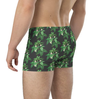 Boxer Briefs 9