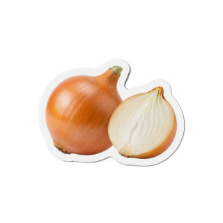 Onion Illustration Die-Cut Magnet 2