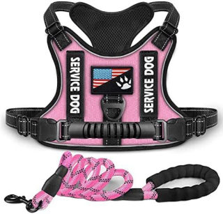 Shock-Absorbing Reflective Pet Chest Strap Harness | Night Vision Leash 4