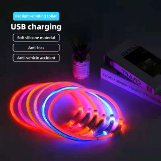 Luminous LED Dog Collar for Night Walks 5