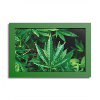 Cannabis leaf poster with colored frame 6