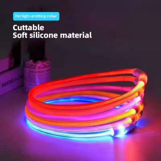 Luminous LED Dog Collar for Night Walks 2