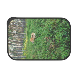 Golden Retriever in the Forest PLA Bento Box with Band and Utensils