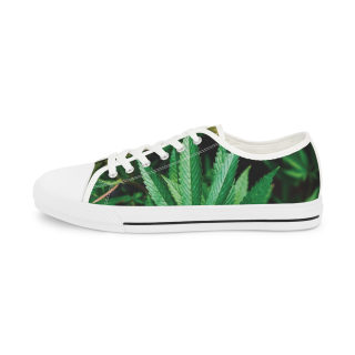 Green Succulent Print Men's Low-Top Sneakers | Aloe Plant Pattern 13