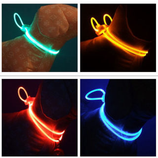 LED Glow Collar for Dogs of All Sizes 5