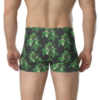 Boxer Briefs 5