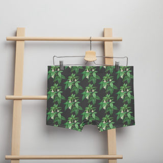 Boxer Briefs 2
