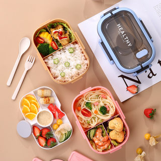 Sealed Leak-Proof Portable Lunch Box | Large Capacity Compartment Box