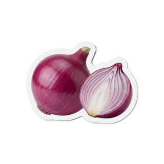Red Onion Illustration Die-Cut Magnet 2