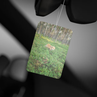 Dog in Forest Car Air Freshener | Woodland Scenery, Nature Scent 6