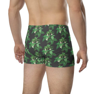 Boxer Briefs 12