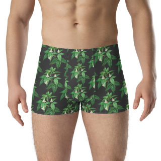 Boxer Briefs 6