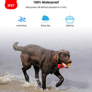 Waterproof Dog Training Collar | 1000ft Range, Shock, Vibration & Sound 5