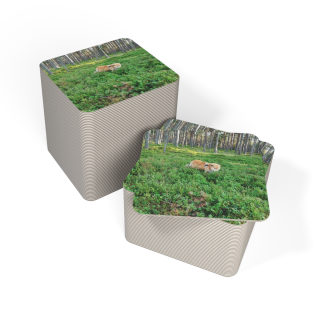 Cow in Forest Coasters | Square Drink Coaster Set 8