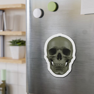 Olive Skull Die-Cut Magnet | Realistic Skull Refrigerator Magnet 11