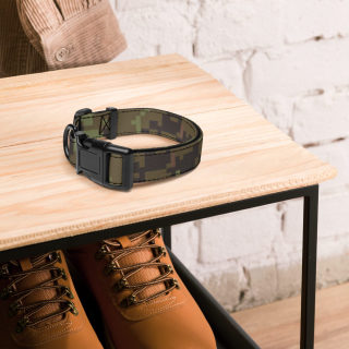 Pet Collar 5