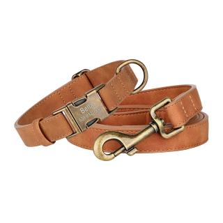Dog Collar with Lettering | Teddy Bear Design for Small Dogs 2