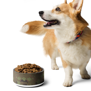 Pet Bowl