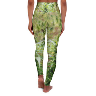 Green Moss Botanical Leggings | Yoga Leggings 2