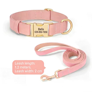 Dog Collar with Lettering | Teddy Bear Design for Small Dogs