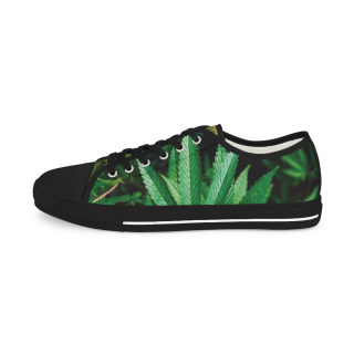 Green Succulent Print Men's Low-Top Sneakers | Aloe Plant Pattern 12