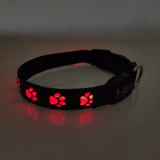 Rechargeable Luminous LED Paw-Print Dog Collar