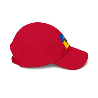 Grill Skewers on Blue Yellow Flag Dad Cap | BBQ Ukraine Baseball Hat 44