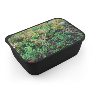 Wild Berry Forage PLA Bento Box with Band and Utensils | Nature Photo Lunchbox 2