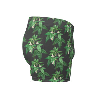 Boxer Briefs 11
