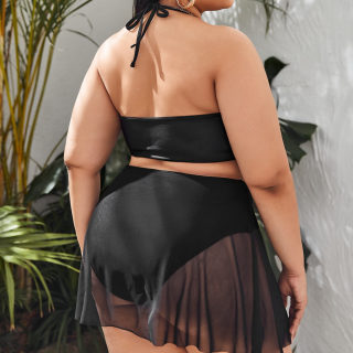 Plus Size Mesh bikini set 4