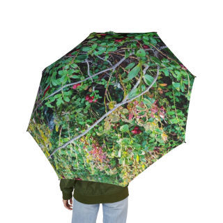 Green Foliage Print Umbrella | Botanical Leaves Rain Umbrella 3